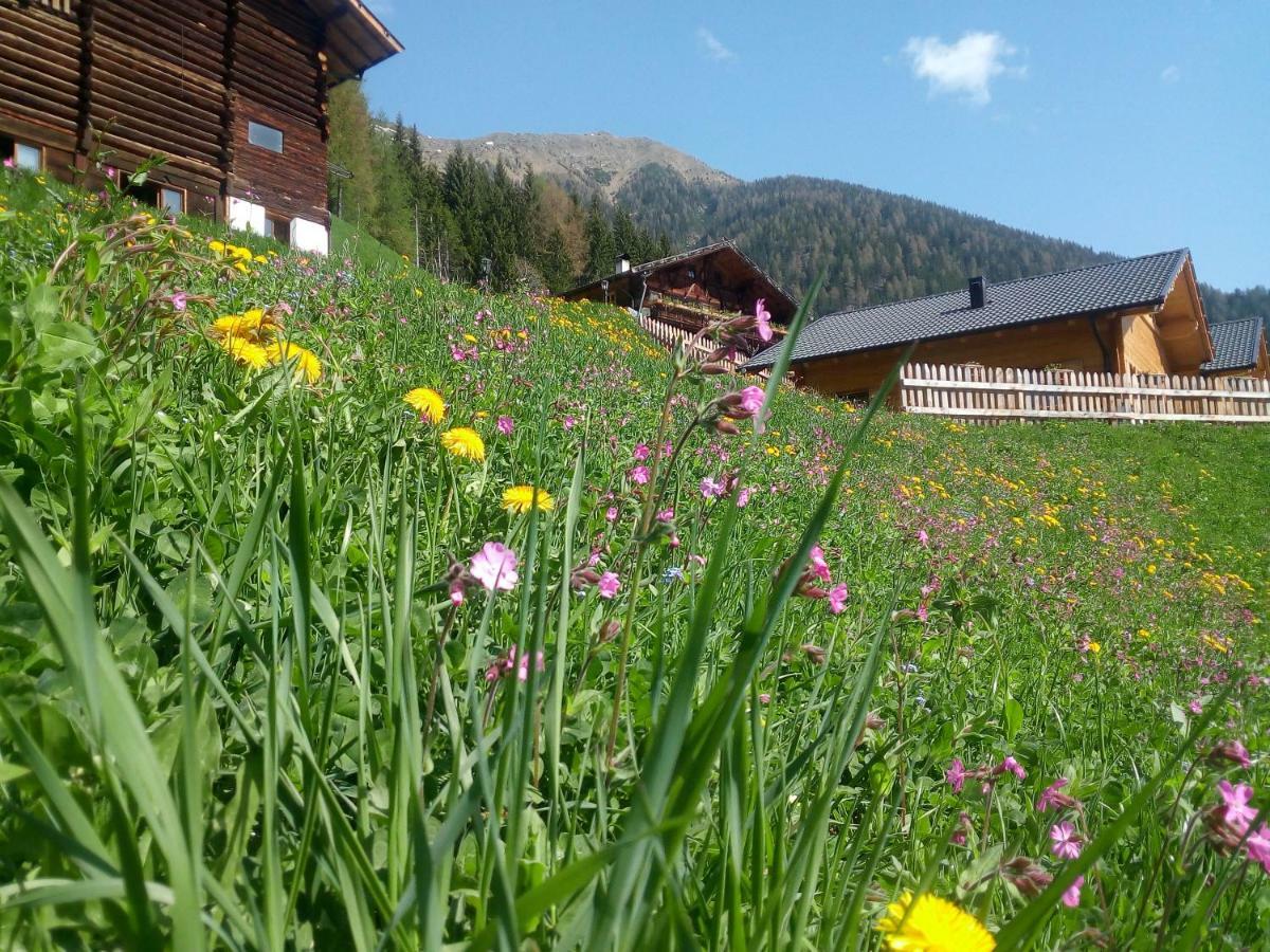 Chalet Niederhaushof Ultimo Exterior foto